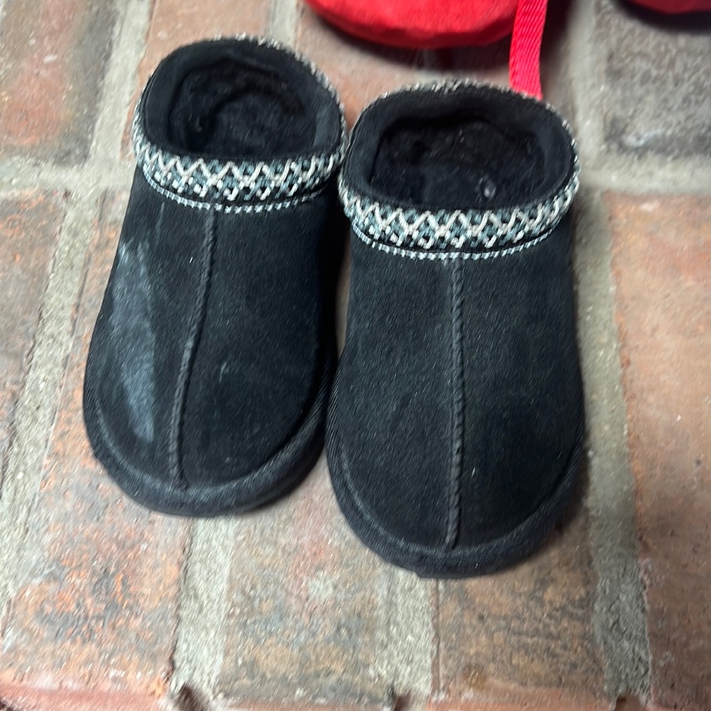 Toddler Tasman
